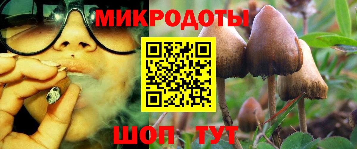 Псилоцибиновые грибы мицелий Ярославль
